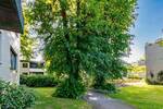 Etagenwohnung Hamburg / Blankenese Blankenese - 2 Zimmer, 87 m&sup2;, 449.500&euro; | Angebot:26909937