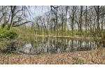 LAGEJUWEL MIT TEICHBLICK AM BERNER GUTSPARK