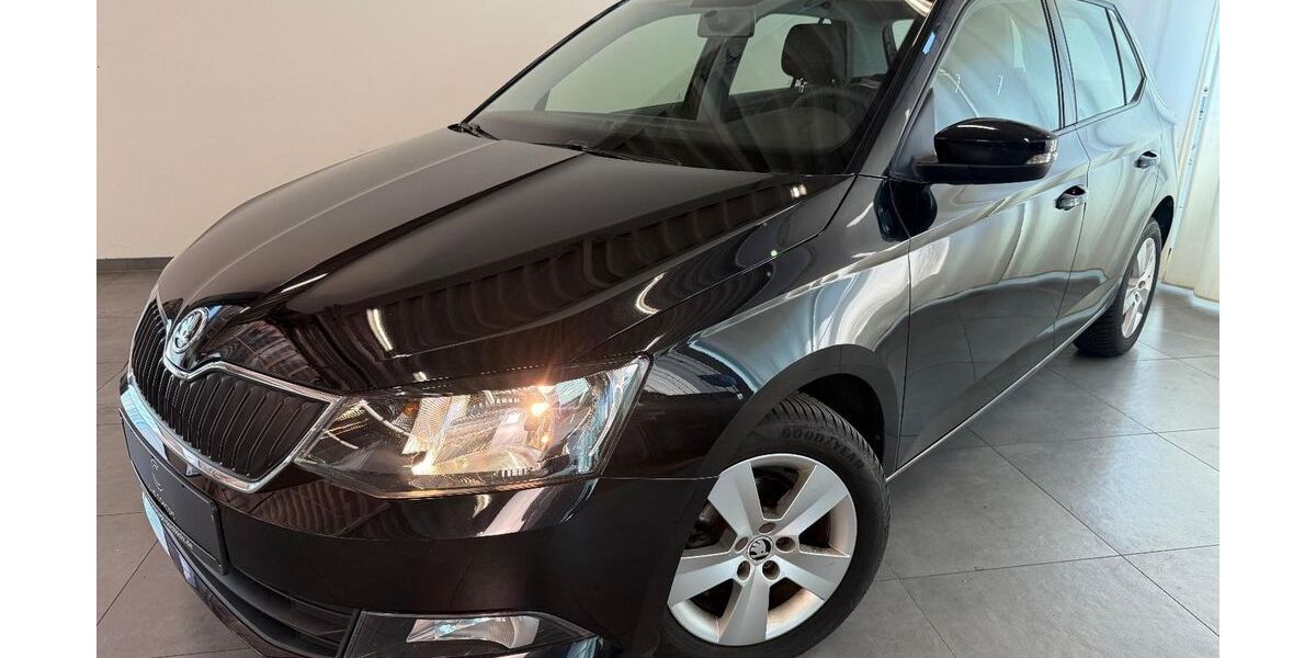 Skoda Fabia 33.801 km 10.950 &euro; Buchholz in der Nordheide 21244