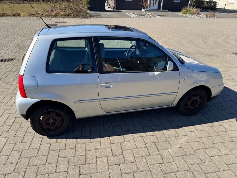 Lupo