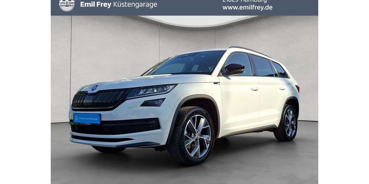 Skoda Kodiaq 80.250 km 27.990 &euro; Hamburg 21029