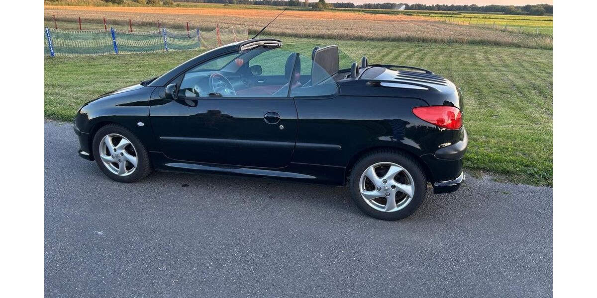 Peugeot 206 77.780 km 3.800 &euro; Winsen 21423
