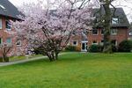 Hochparterre Hamburg Altona - 4 Zimmer, 126 m&sup2;, 755.000&euro; | Angebot:26196652