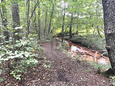 ATTRAKTIV FÜR FREIZEIT ODER IDEAL FÜR PROJEKTIERER - Grundstück Pinneberg | Angebot:25412668