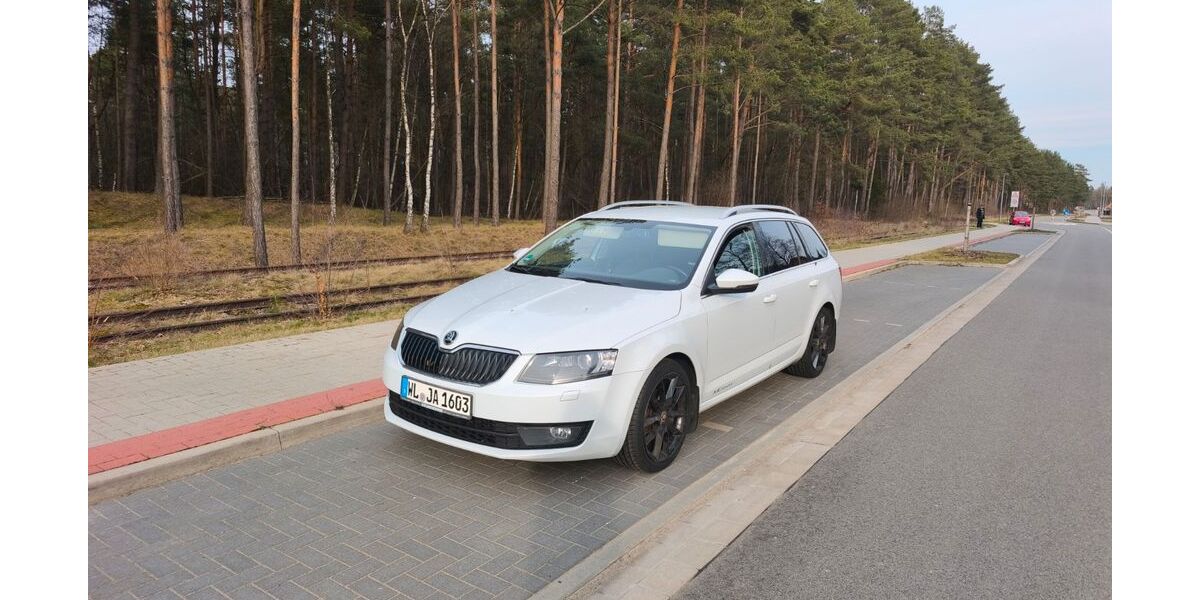 Skoda Octavia 379.000 km 6.500 &euro; Marschacht 21436