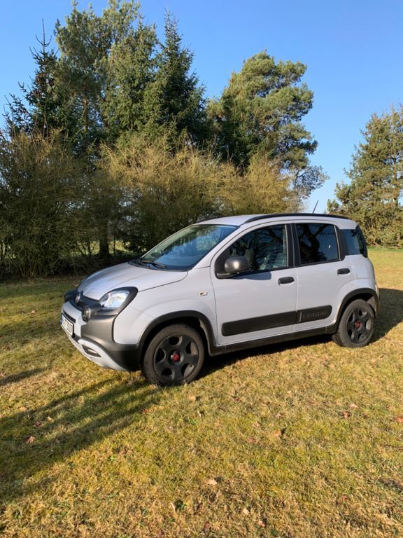 Panda