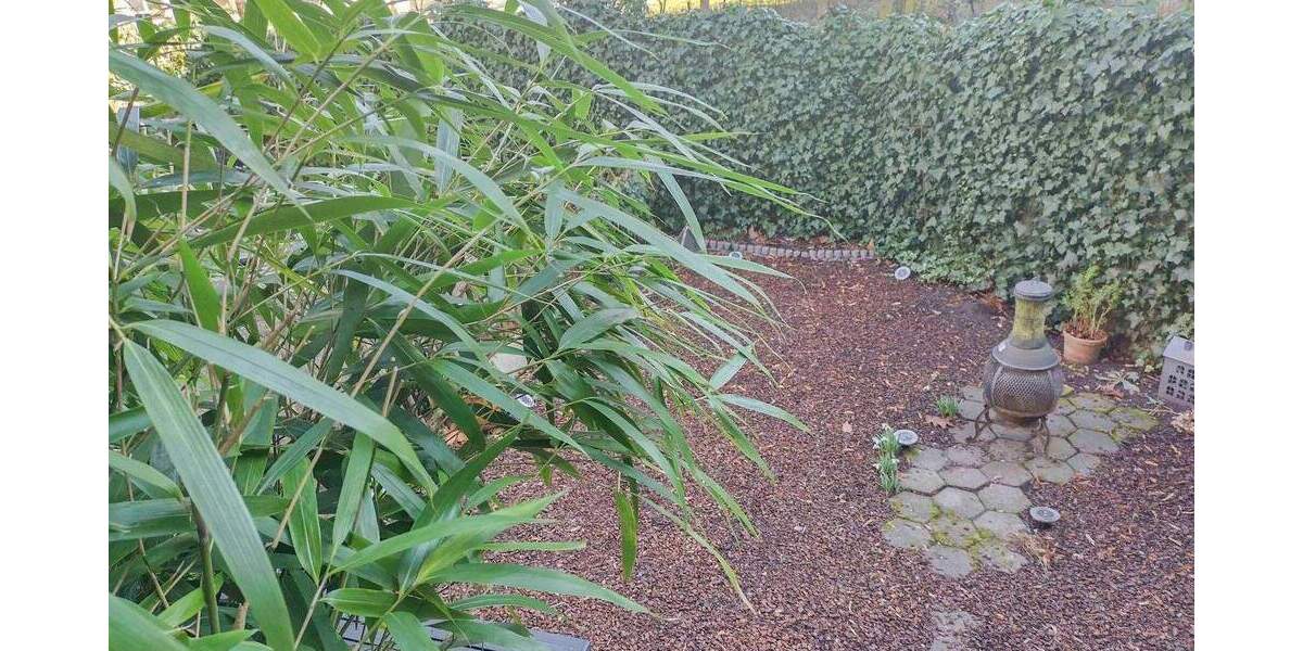 Einfamilienhaus Hamburg Barmbek-Nord - 2 Zimmer, 299.000&euro; | Angebot:25715303