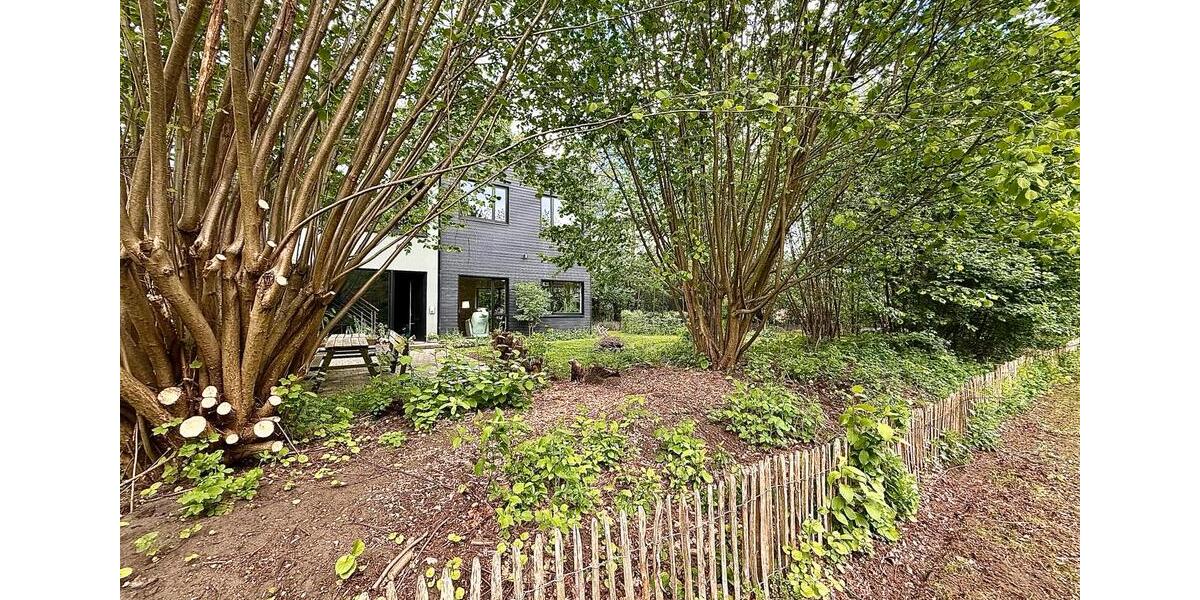 Einfamilienhaus Hamburg Sternschanze - 8 Zimmer, 400 m&sup2;, 799.000&euro; | Angebot:26678214