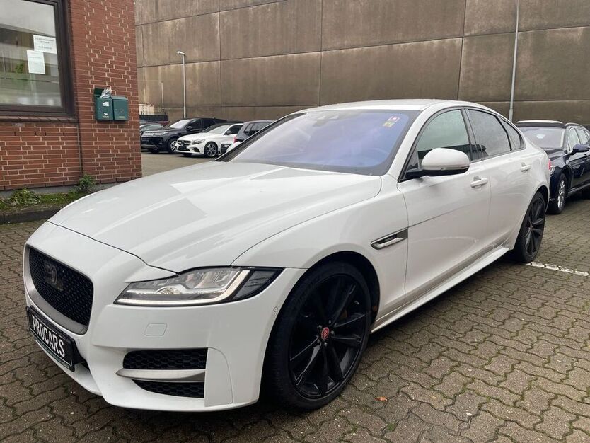 XF