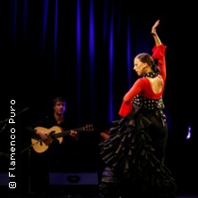 Flamenco Puro 22.11.2025 Laeiszhalle Hamburg