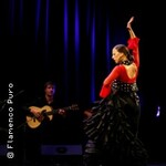 Flamenco Puro