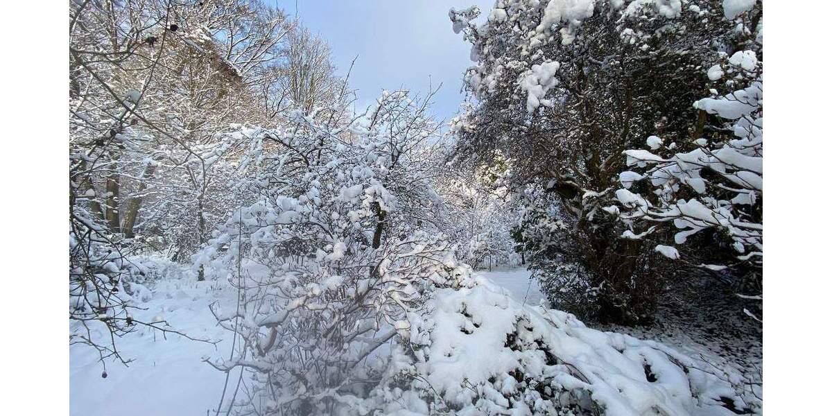 Einfamilienhaus Hamburg Volksdorf - 1.250.000&euro; | Angebot:24052229