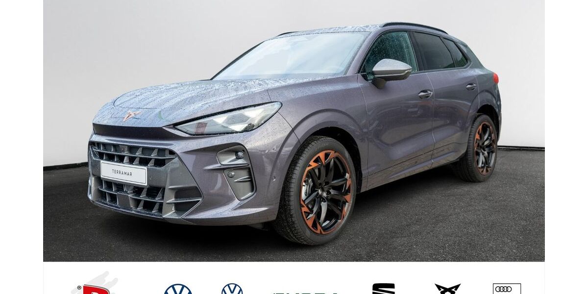 Cupra Terramar 9.500 km 39.800 € Pinneberg 25421