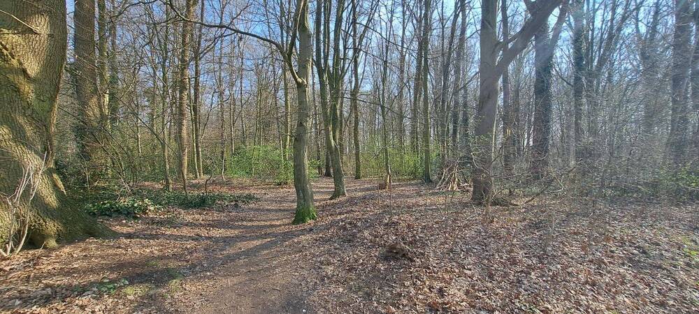 Etagenwohnung Bramfeld Bramfeld - 3 Zimmer, 71 m&sup2;, 288.000&euro; | Angebot:25926479