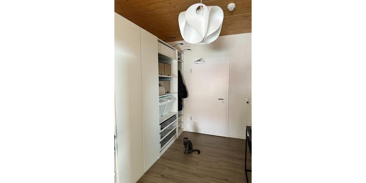 Etagenwohnung Hamburg Allermöhe - 2 Zimmer, 85 m&sup2;, 1.065&euro; | Angebot:26041755