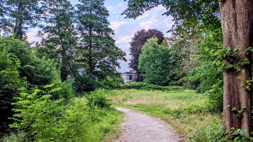 Helles, ruhiges 28 m² Zimmer mit Garten, Natur & Top-Anbindung 1 zimmer