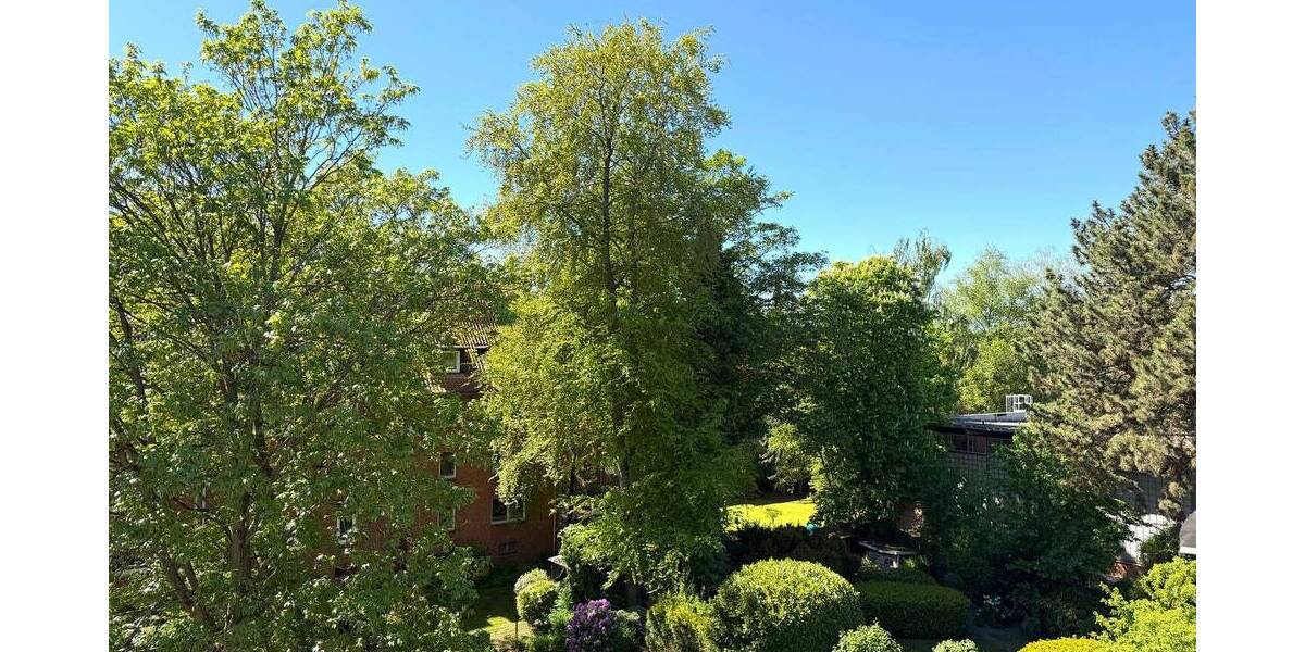 Etagenwohnung Hamburg Wandsbek - 2 Zimmer, 49 m&sup2;, 239.000&euro; | Angebot:26556367