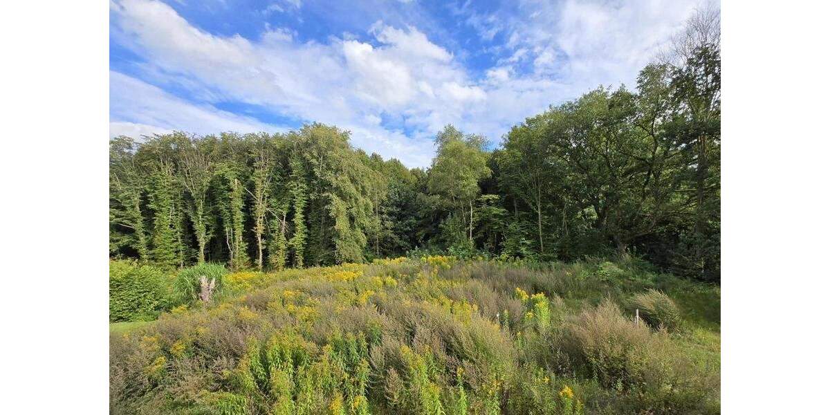 Doppelhaushälfte Kayhude - 6 Zimmer, 140 m&sup2;, 2.250&euro; | Angebot:25682408