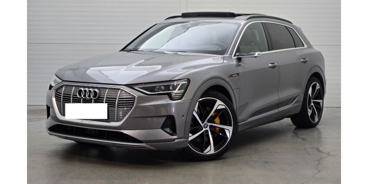Audi e-tron 62.882 km 32.890 &euro; Bargteheide 22941