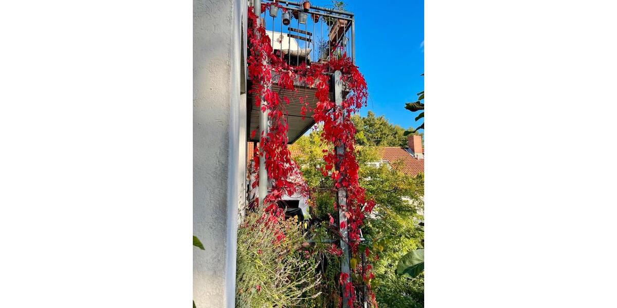 Etagenwohnung Hamburg Sternschanze - 2.5 Zimmer, 59 m&sup2;, 469.000&euro; | Angebot:24847631