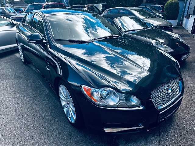 XF