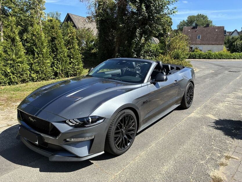 Mustang
