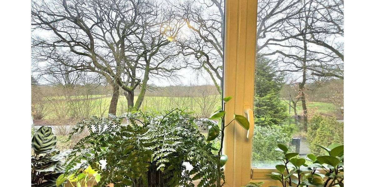 Doppelhaushälfte Hamburg Duvenstedt - 6 Zimmer, 125 m&sup2;, 850.000&euro; | Angebot:25682388