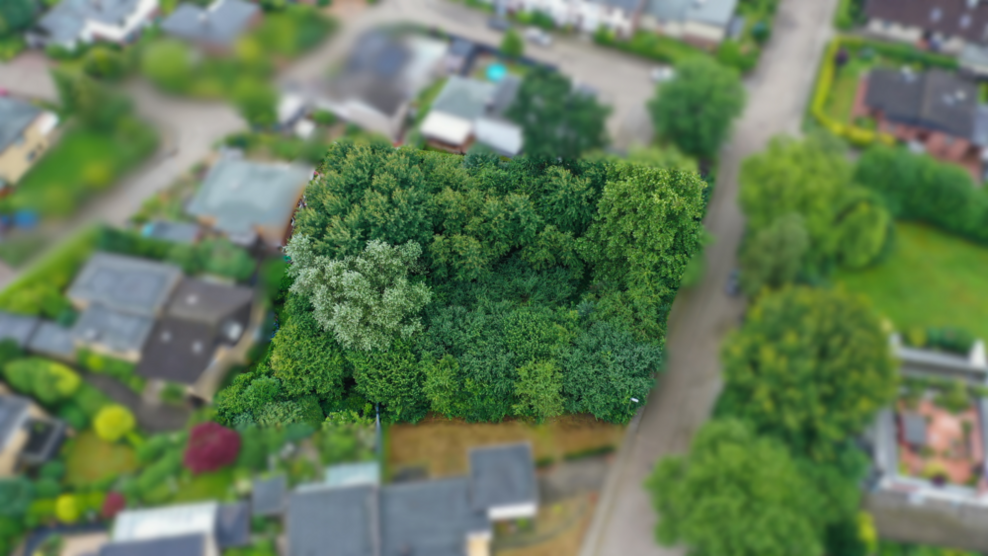 Grundstück zu verkaufen in Buxtehude 729.000 € 1666 m²
