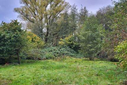 1.303 m² Baugrundstück mit vielseitigem Entwicklungspotenzial für 5 WE in Glinde zimmer