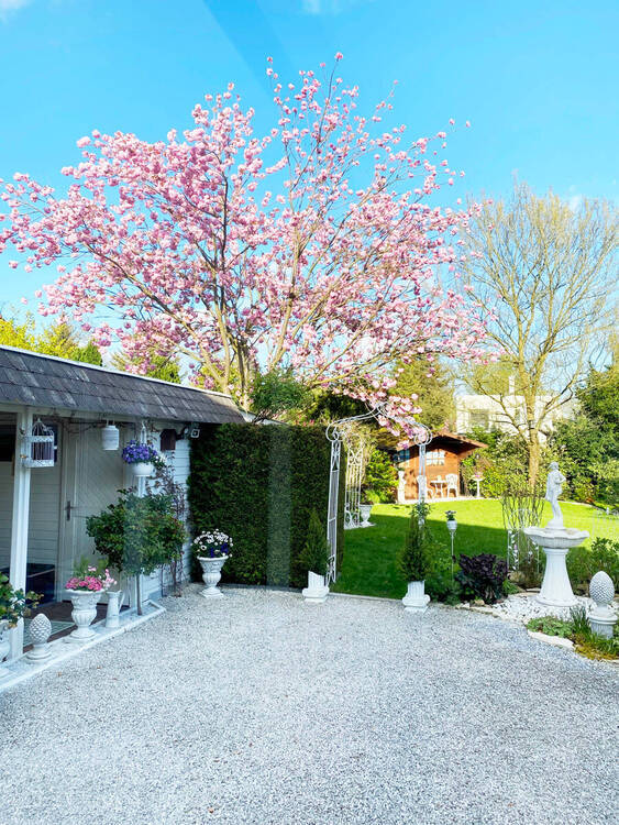 4-Zi.- Doppelhaustraum mit Wintergarten, Kamin, Sauna, Carport und Garten in ruhiger Sackgassenlage