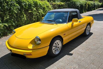 Alfa Romeo Spider 40.500 km 25.500 &euro; Buchholz In Der Nordheide 21244