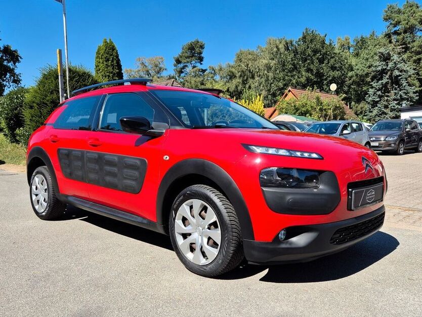 C4 Cactus