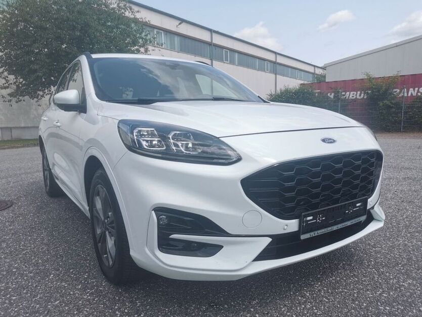 Kuga