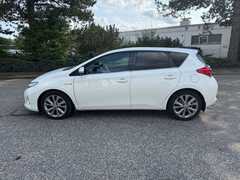 Auris