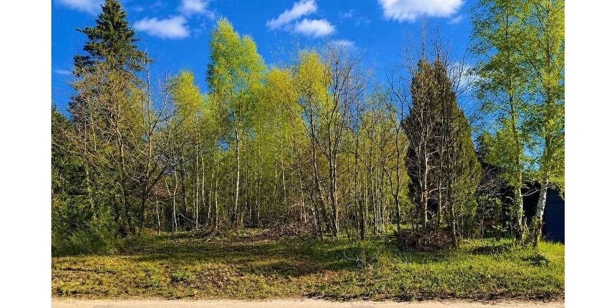 Grundstück Buchholz - 279.000&euro; | Angebot:26878621