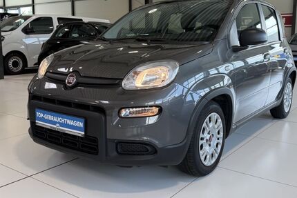 Fiat Panda 49.724 km 11.990 &euro; Buchholz in der Nordheide 21244