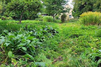 Grundstück zu verkaufen in Hamburg 495.000 € 736 m² zimmer