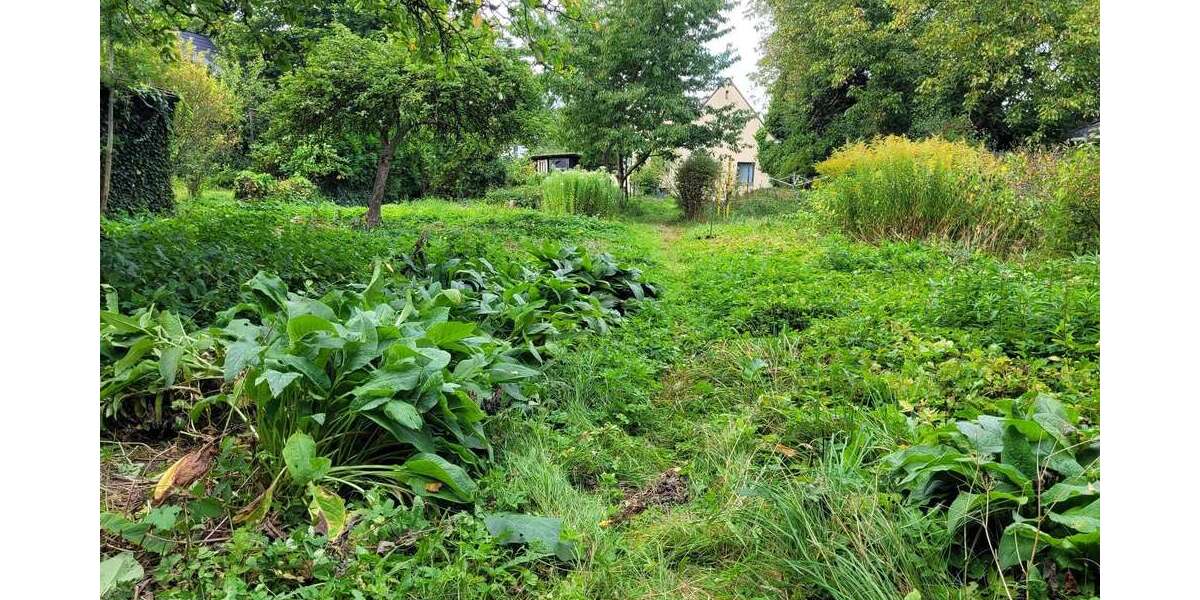 Grundstück zu verkaufen in Hamburg 495.000 € 736 m² zimmer