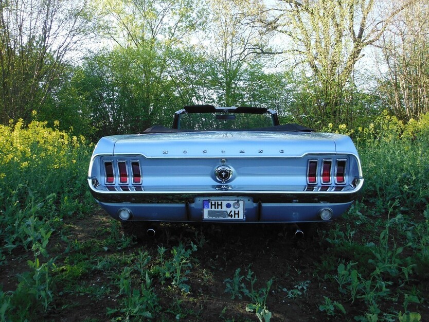 Mustang