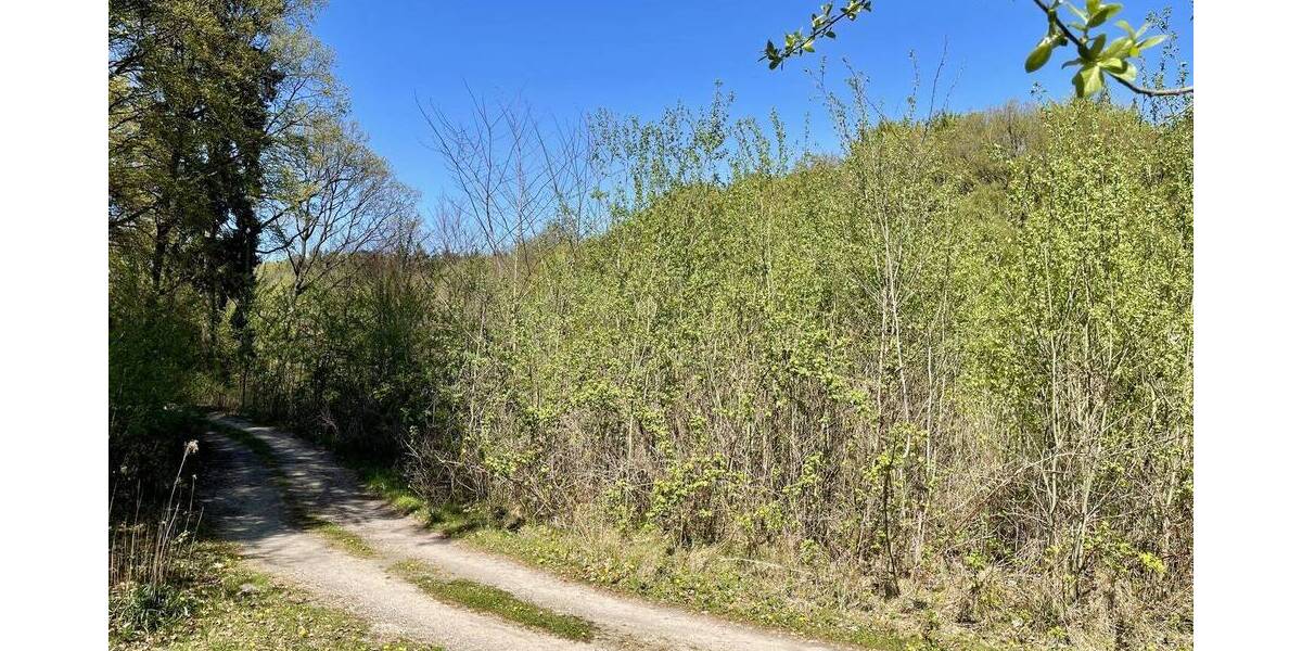 Grundstück Rosengarten Ehestorf - 625.000&euro; | Angebot:25768609