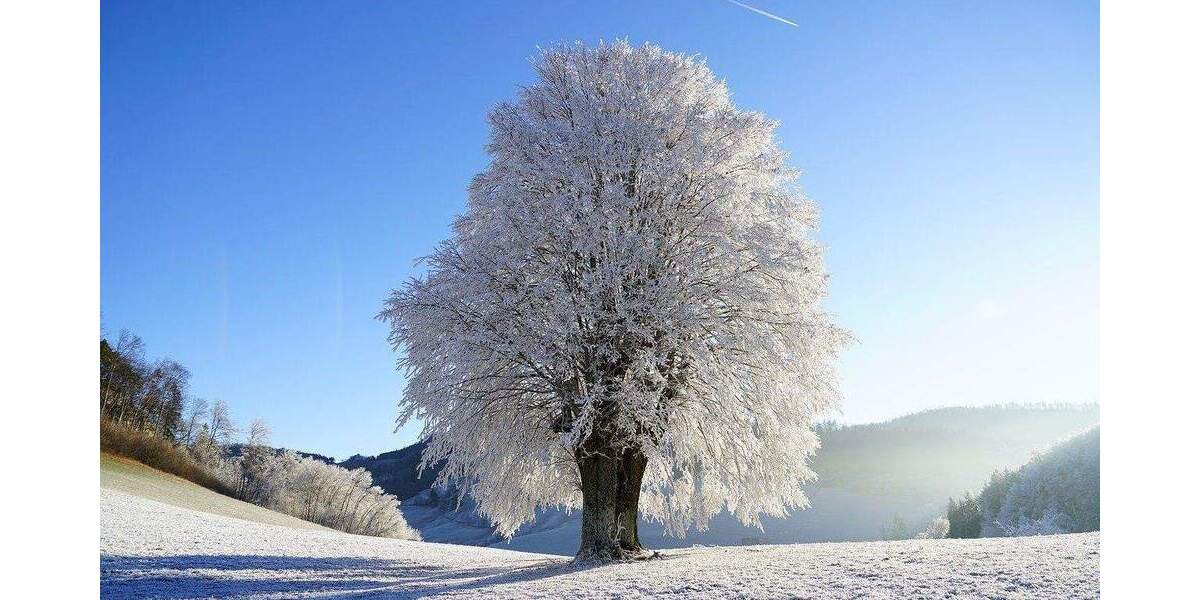 Bien-Zenker: Ihre individuell geplante Wohlfühloase im Hamburger Stadtteil - Rissen 5 zimmer