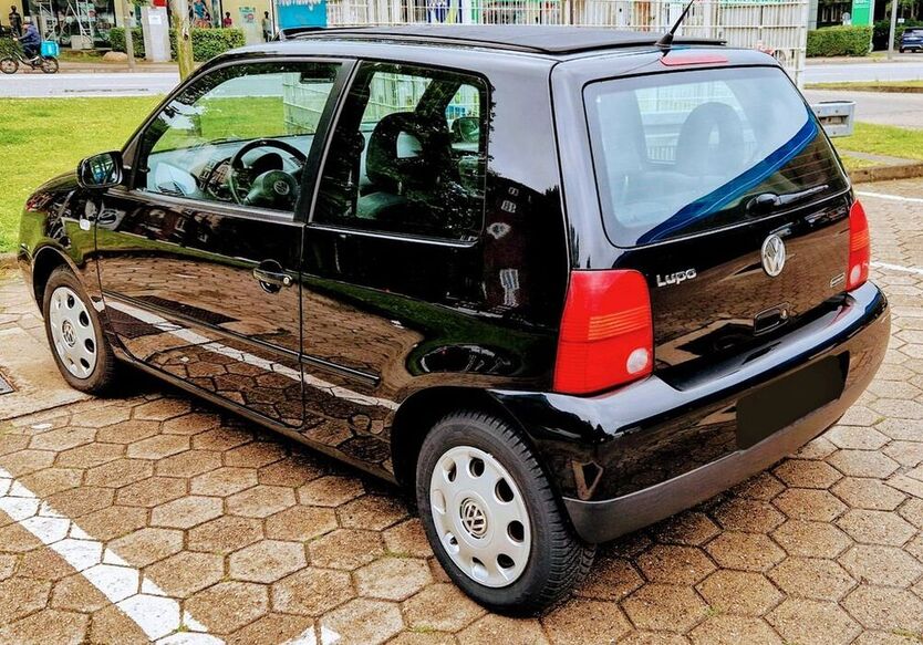 Lupo