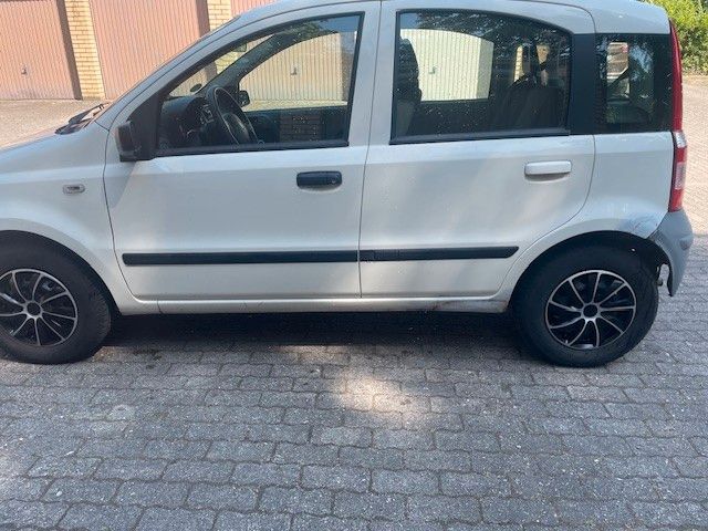 Panda