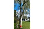 Bungalow Rellingen - 5 Zimmer, 180 m&sup2;, 3.250&euro; | Angebot:26603453