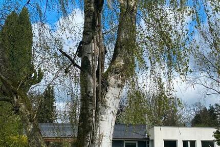 Haus Rellingen - 5 Zimmer, 180 m&sup2;, 3.250&euro; | Angebot:26603453