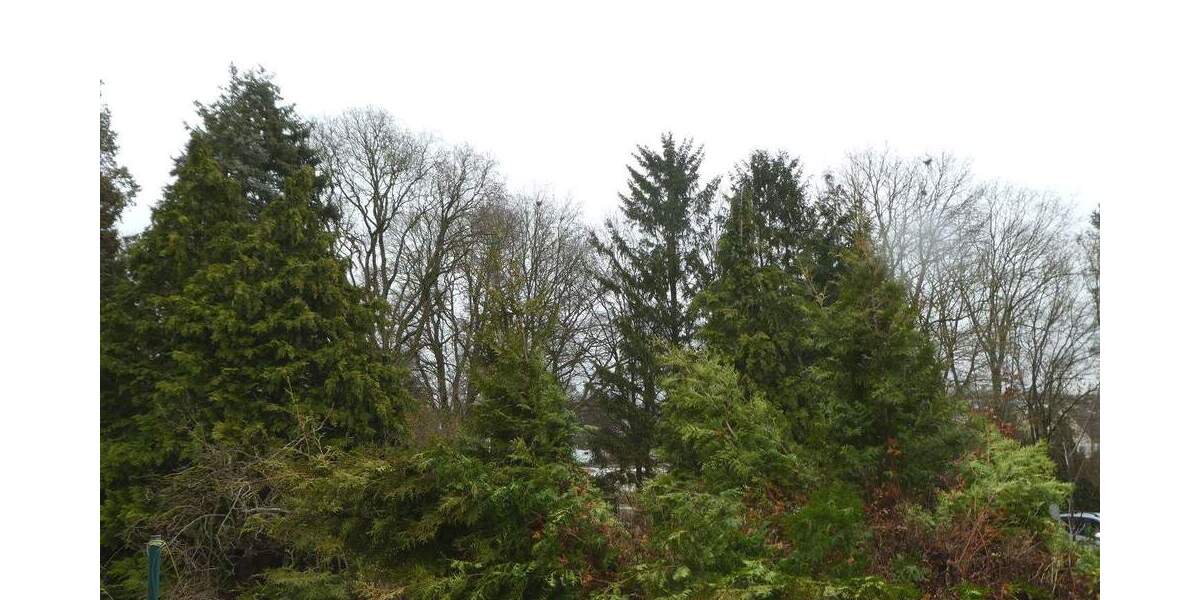 Grundstück Oststeinbek - 598.000&euro; | Angebot:25743456