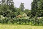Etagenwohnung Hamburg Farmsen-Berne - 3 Zimmer, 86 m&sup2;, 1.800&euro; | Angebot:26909025