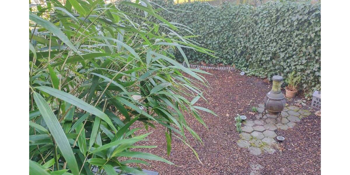 Etagenwohnung Hamburg Barmbek-Nord - 2 Zimmer, 44 m&sup2;, 269.000&euro; | Angebot:26359393