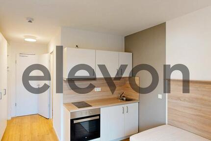 Wohnung Hamburg Hamburg-Mitte - 1 Zimmer, 19 m&sup2;, 670&euro; | Angebot:26489065
