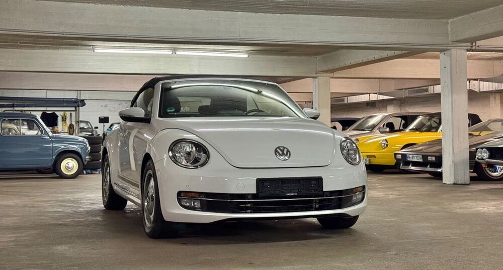 Beetle